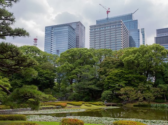 Introduction to Tokyo Tour, with Imperial Palace Gardens and Nihonbashi