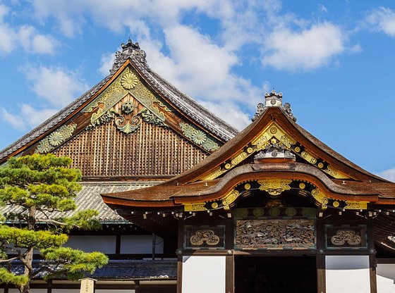 Introduction to Kyoto Tour with Nijo Castle and the Imperial Palace
