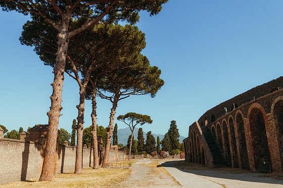 day trips from rome