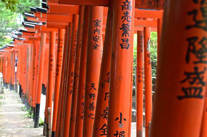 Tokyo in a Day Tour with Yanesen, Ueno and Asakusa