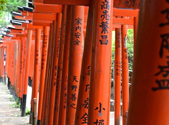 Tokyo in a Day Tour with Yanesen, Ueno and Asakusa