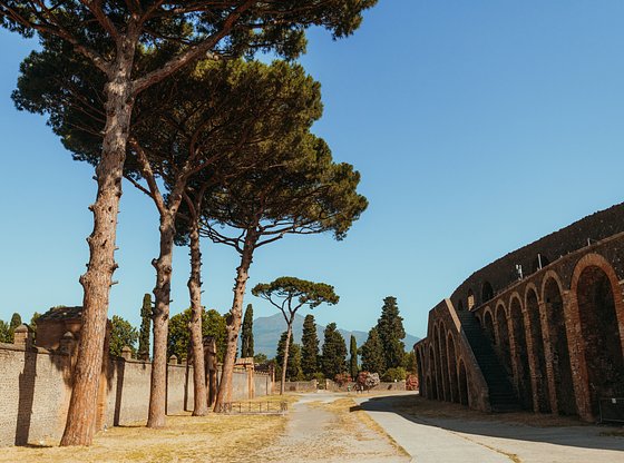 Pompeii Full-Day Trip from Naples