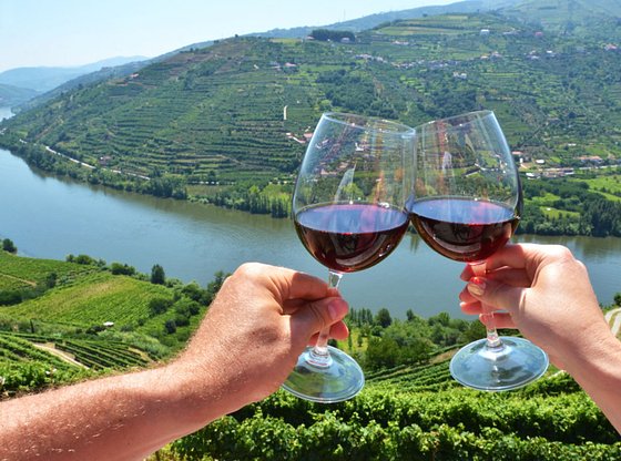 Douro Valley Full Day Wine Tour from Porto