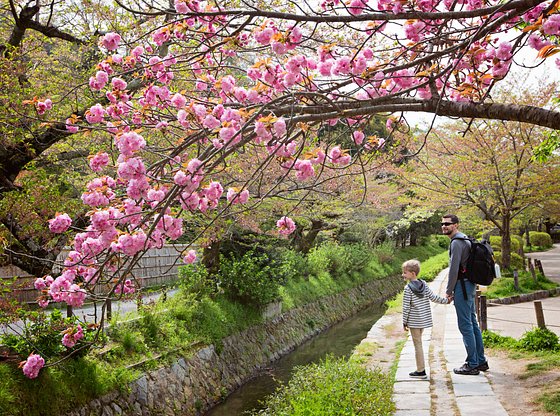 Philosopher's Path Tour: Nature and Buddhism in Kyoto