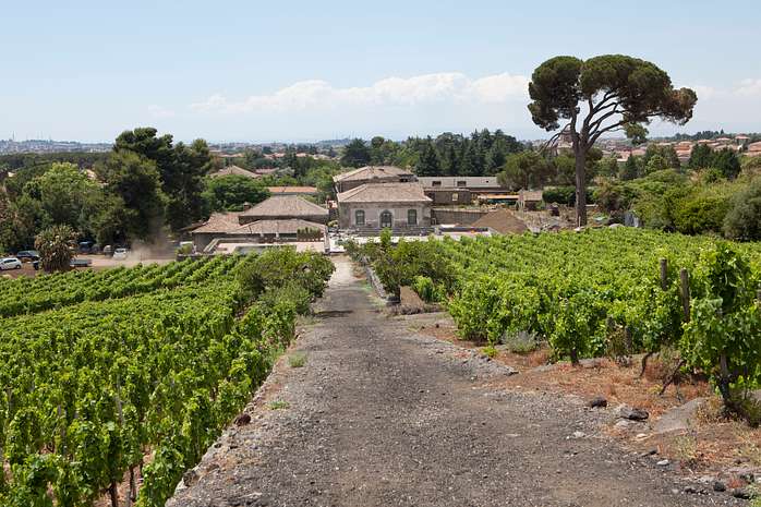 Full-Day Mount Etna Hiking Day Trip with Sicilian Wine Tasting
