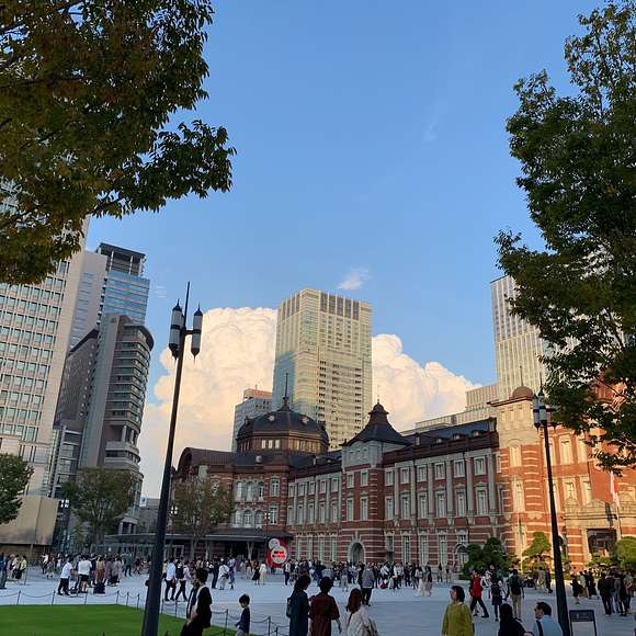 tokyo private tour guide