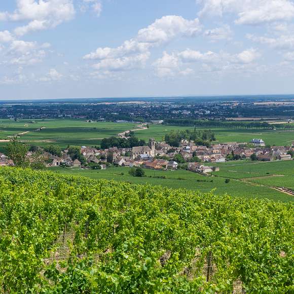 burgundy wine tour from paris