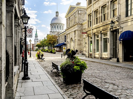 Sites & Insights: Montreal City Tour