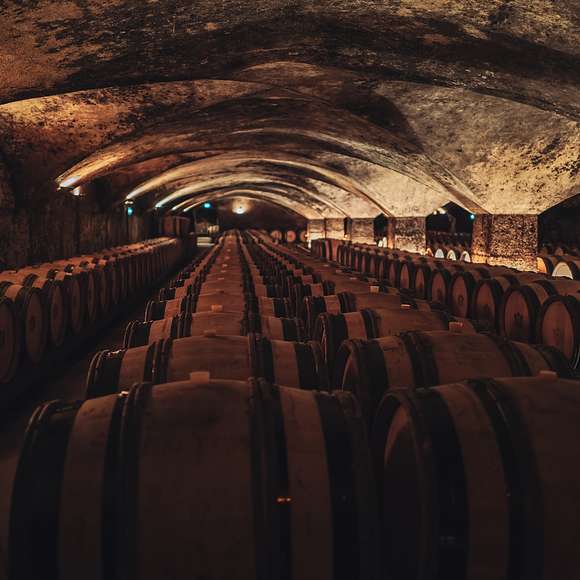 burgundy wine tour