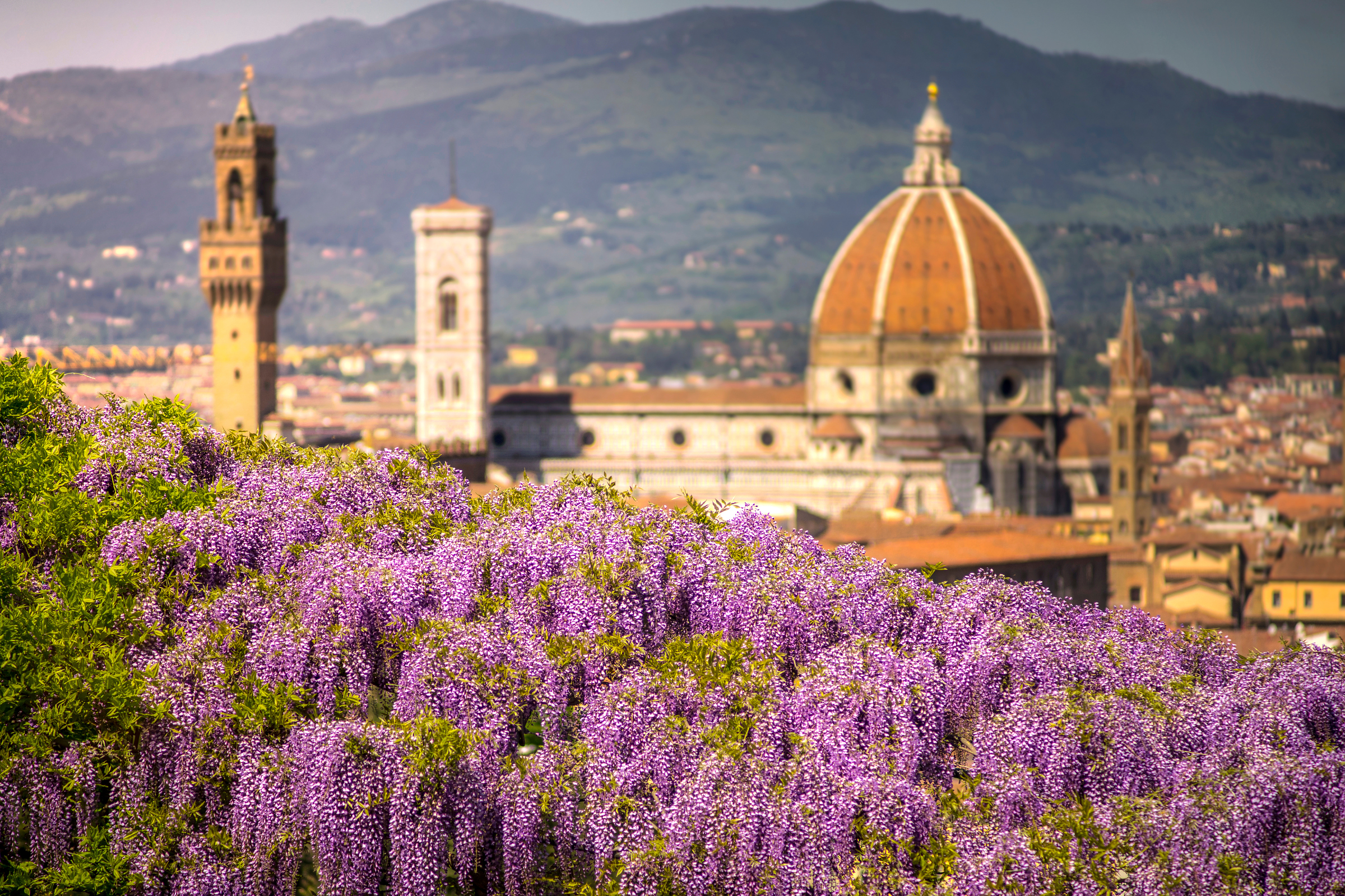 Florence Private Walking Tours