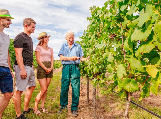 Valpolicella Wine Excursion from Verona