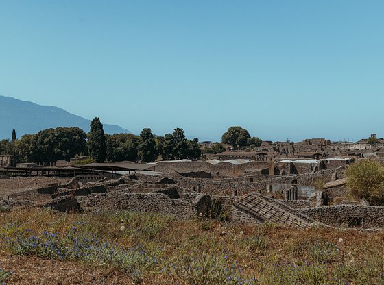 Pompeii and Herculaneum Day Trip from Naples