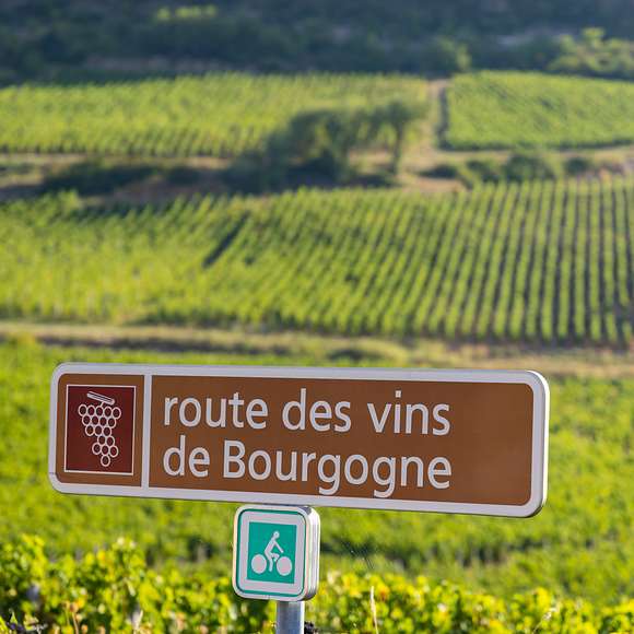 private burgundy wine tour