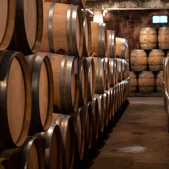 burgundy wine tour from dijon