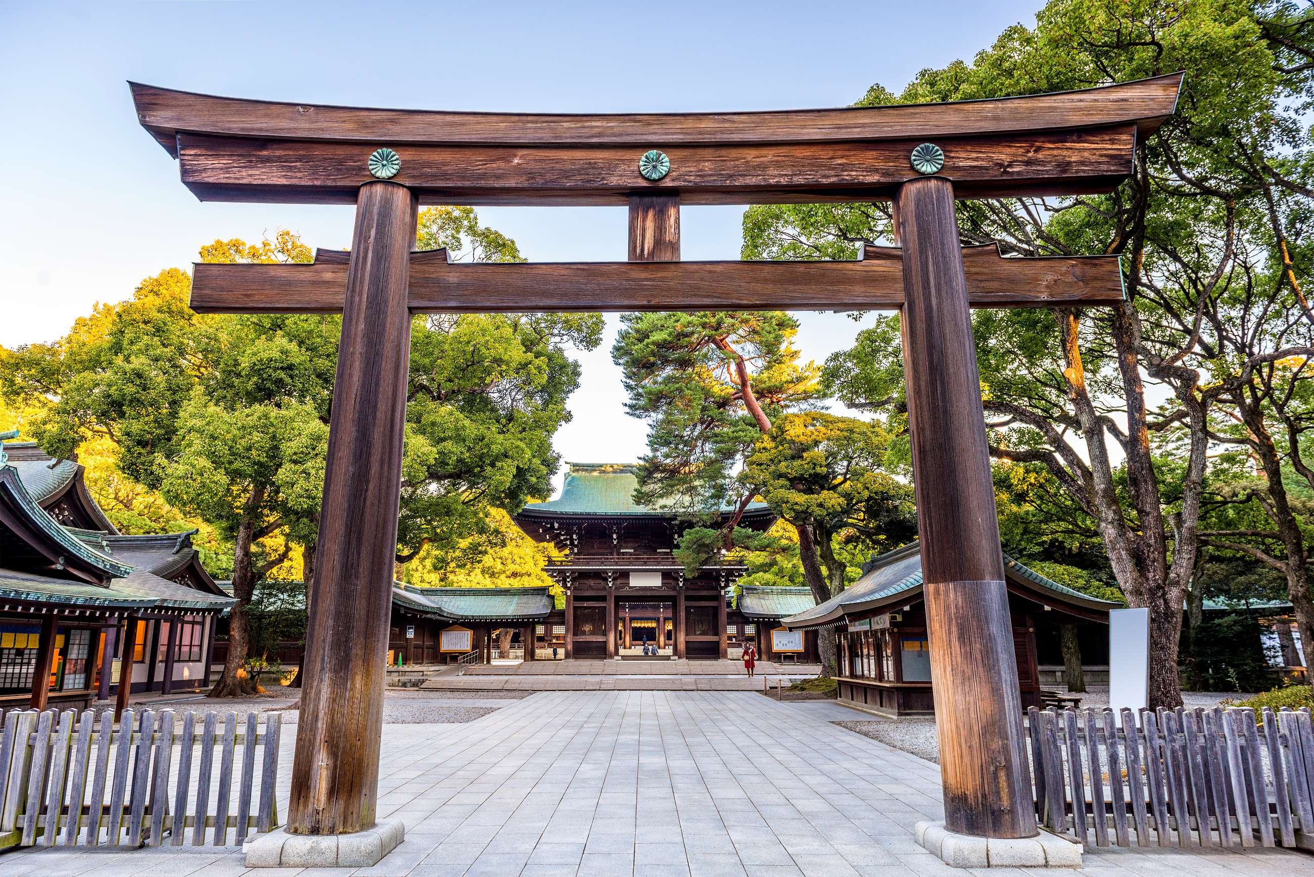 meiji jingu shrine tours