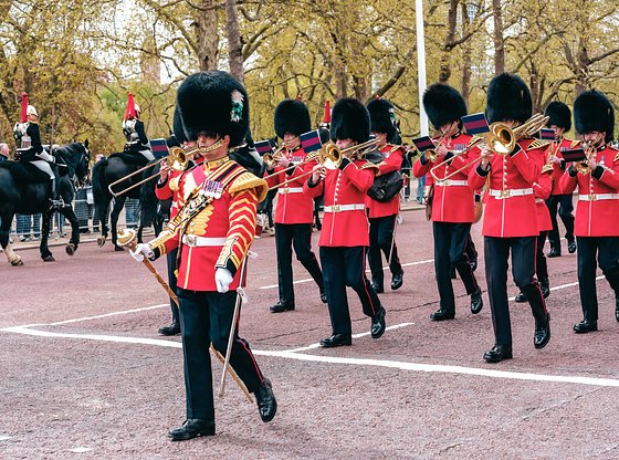 Royal London Tour with Changing of the Guard and a View of Buckingham Palace